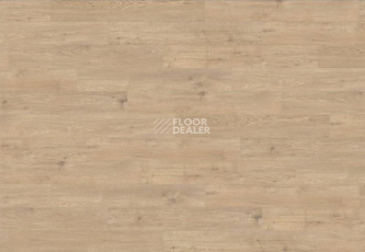 Ламинат Haro Tritty 200 Aqua 4V ДУБ СИЦИЛИЯ ПУРО 537370 фото 1 | FLOORDEALER